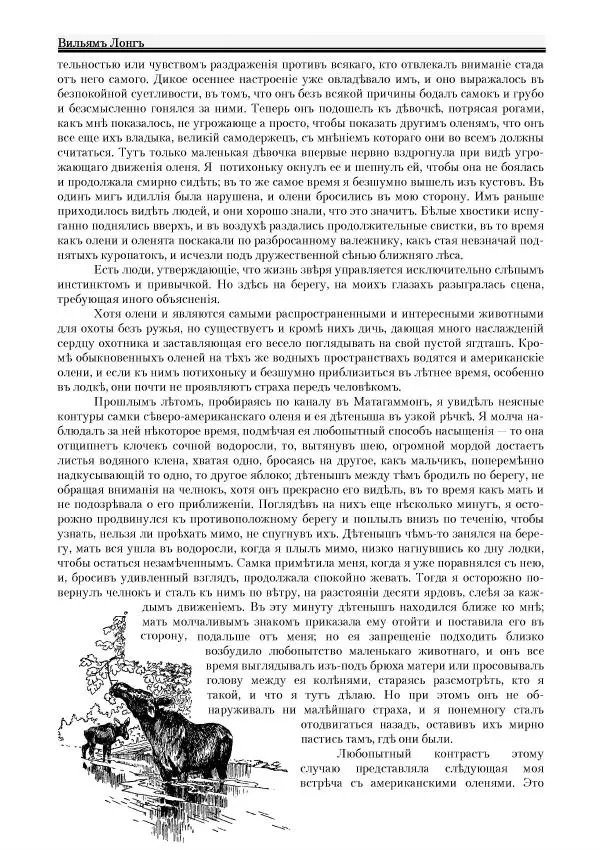 Вильямъ Логъ - Младший братецъ медведя - Страница № 104