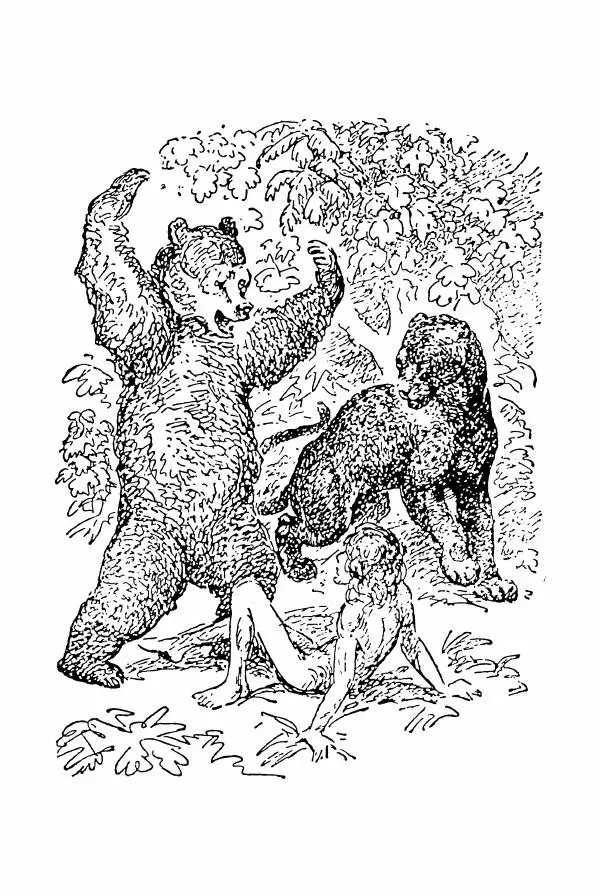 Редьярд Киплинг - Маугли  - Страница № 28