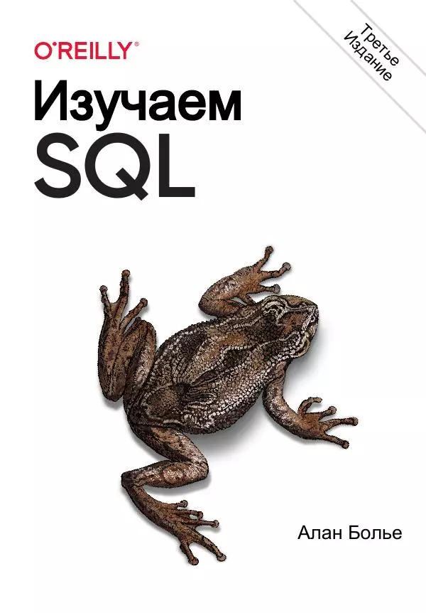 Алан Болье - Изучаем SQL. Генерация, выборка и обработка данных - Страница № 1