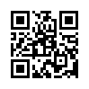 КулЛиб QR: Петр II (fb2)