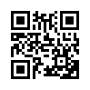 КулЛиб QR: Идеальный силовик (fb2)