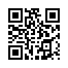 КулЛиб QR: Пилот 'штуки' (fb2)