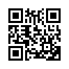 КулЛиб QR: Графиня (fb2)