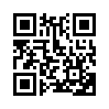 КулЛиб QR: Долг (fb2)