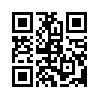 КулЛиб QR: Курсант (fb2)