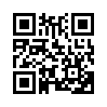 КулЛиб QR: Мститель (fb2)