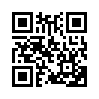 КулЛиб QR: ВПЛАМ: доп. материалы (СИ) (fb2)