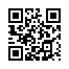 КулЛиб QR: «Сокол-1» (fb2)