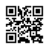 КулЛиб QR: Леди в черном (fb2)