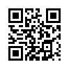 КулЛиб QR: Трое в столице (fb2)