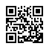 КулЛиб QR: Участковый – Васька Генерал (fb2)
