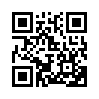 КулЛиб QR: Самостійна дірка (fb2)
