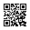 КулЛиб QR: Фамилия не соответствует (fb2)