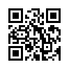 КулЛиб QR: Отчаянные меры (fb2)