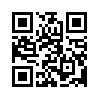 КулЛиб QR: Основные социологические понятия (fb2)
