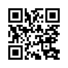 КулЛиб QR: Олеся (fb2)