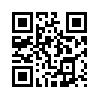 КулЛиб QR: Кошкин сын. Истории из жизни репортёра (fb2)