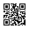 КулЛиб QR: Медь (fb2)