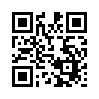 КулЛиб QR: Толмач (fb2)