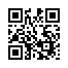 КулЛиб QR: Отчёт (fb2)