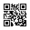 КулЛиб QR: Битва в столице (fb2)