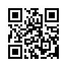 КулЛиб QR: Бочка (fb2)