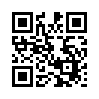КулЛиб QR: Золотая медаль (fb2)