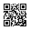 КулЛиб QR: Достойная леди (fb2)