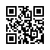 КулЛиб QR: Жизнь и смерть Бобби Z (fb2)