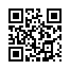 КулЛиб QR: Маленький секрет большого штата (fb2)