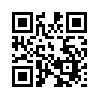 КулЛиб QR: Визит к Бонапарту (fb2)