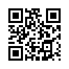 КулЛиб QR: Двухместное купе (fb2)