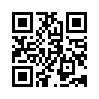 КулЛиб QR: Секретарь писателя (fb2)