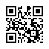КулЛиб QR: Гений или злодей (fb2)