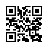 КулЛиб QR: Гонщик (fb2)