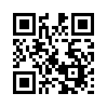КулЛиб QR: Двойственный рыцарь (fb2)