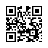 КулЛиб QR: Дзур (fb2)