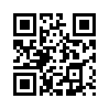 КулЛиб QR: Стандартизация мешает воровать (fb2)