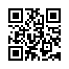 КулЛиб QR: Сумочка (fb2)
