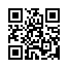 КулЛиб QR: Дело о бриллиантовой запонке (fb2)