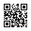 КулЛиб QR: Паспорт (fb2)