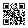 КулЛиб QR: В начале (fb2)