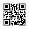 КулЛиб QR: Вовик (fb2)