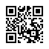 КулЛиб QR: Тексты песен БГ (fb2)