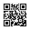 КулЛиб QR: Врезано в плоть (ЛП) (fb2)