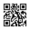 КулЛиб QR: Отблеск (fb2)