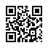 КулЛиб QR: Фонарик (fb2)