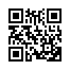 КулЛиб QR: Загадка пропавшей статуи (fb2)