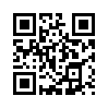 КулЛиб QR: Ночные птицы (fb2)