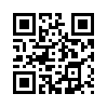 КулЛиб QR: Холли внутри шторма (fb2)